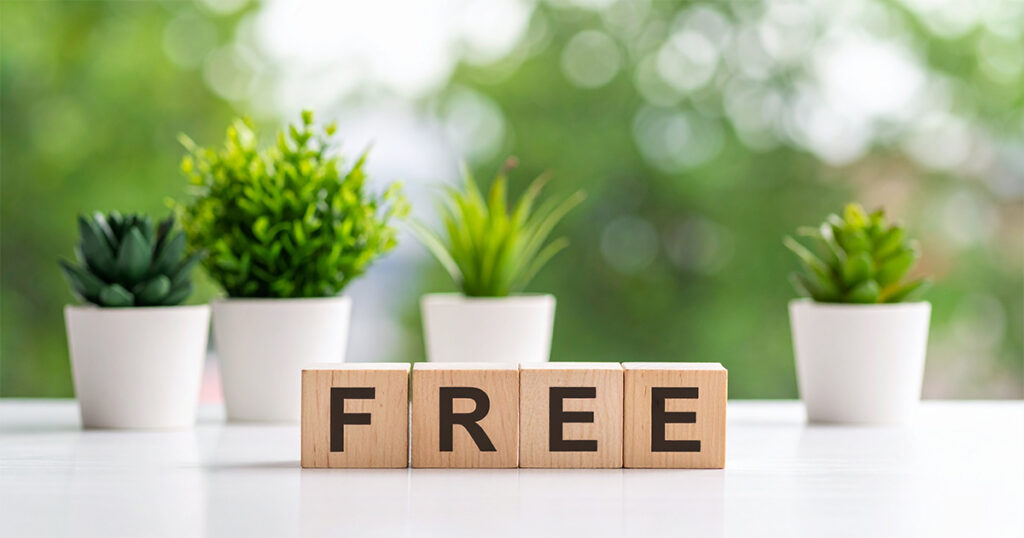 8_1 freeと書かれた木製のブロック